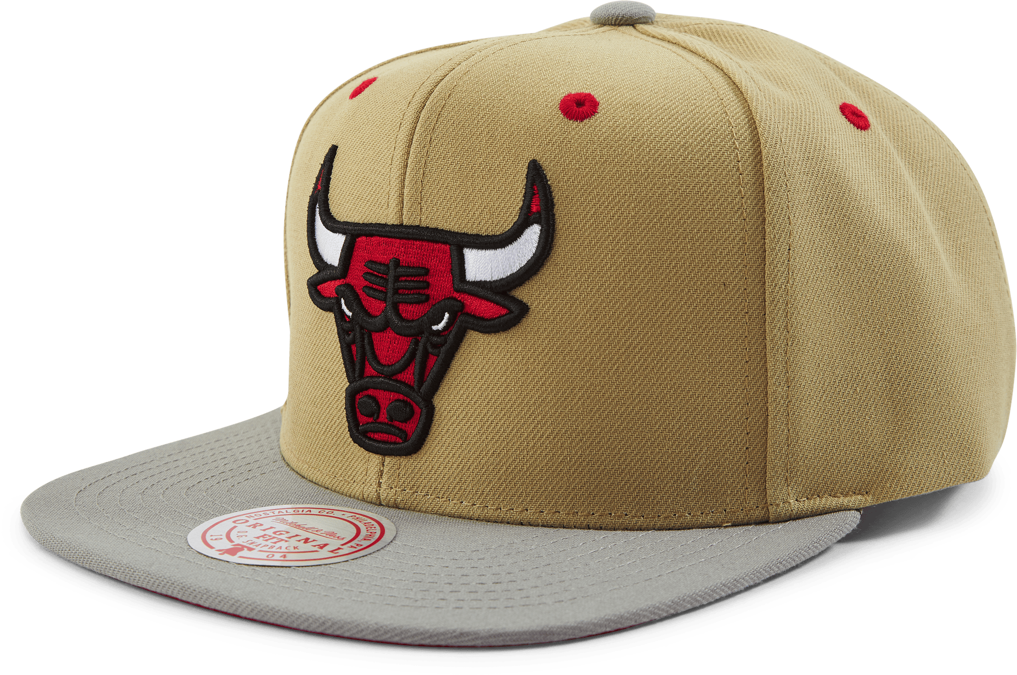 Classic Canvas Snapback