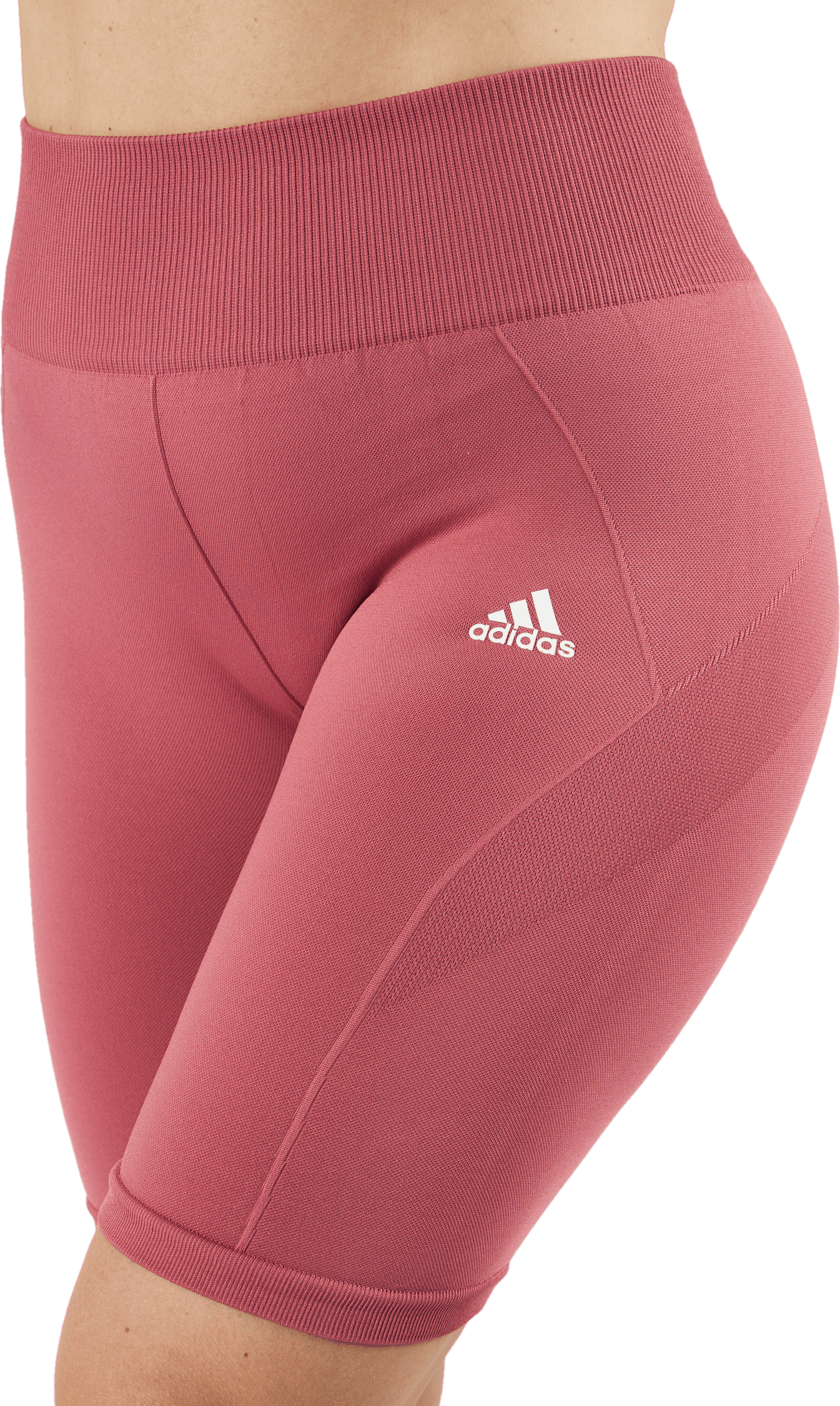 Training Seamless Short Leggings Pnkstr - Bild 4