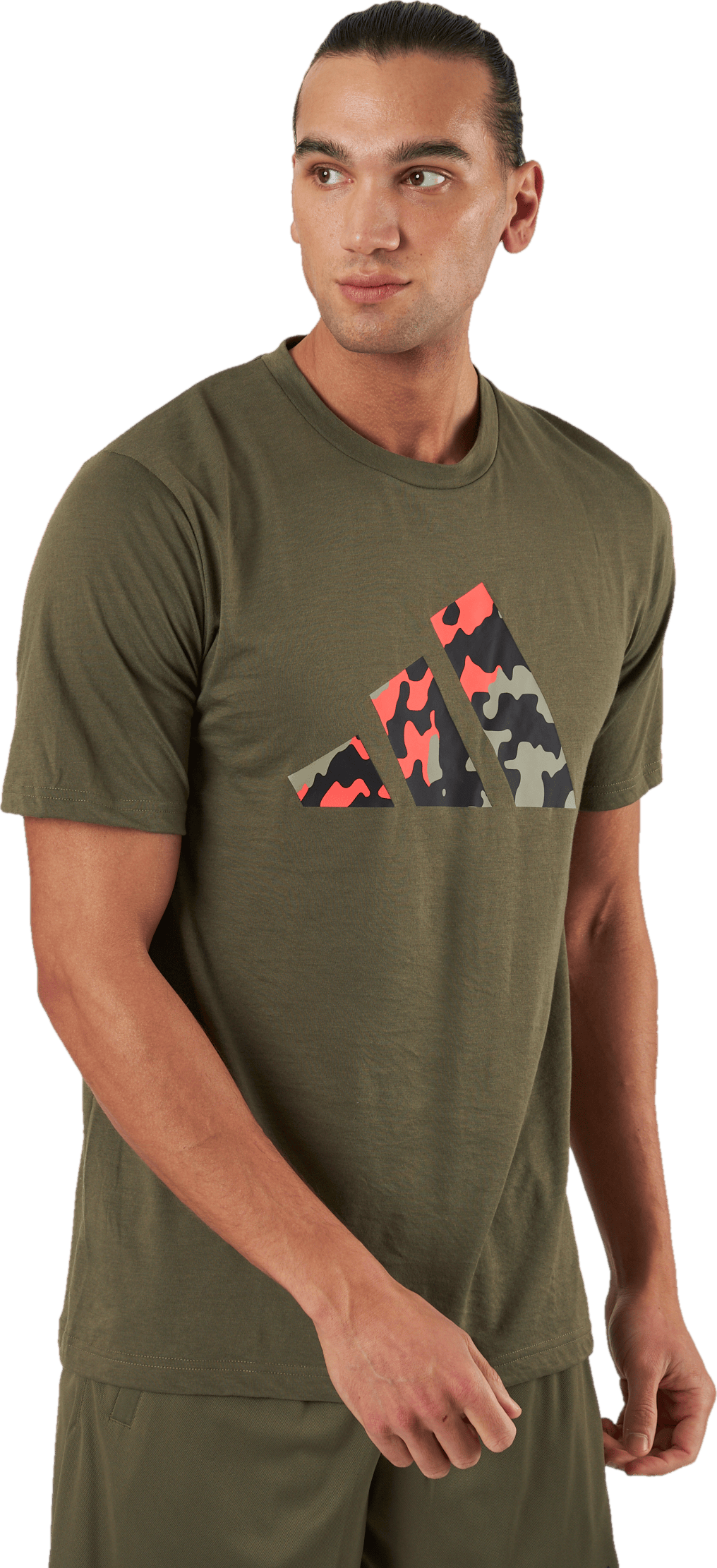 Train Essentials Seasonal Logo Training T-Shirt Olistr, Male, Odevy, Tričko, Posilovať, Zelená, L