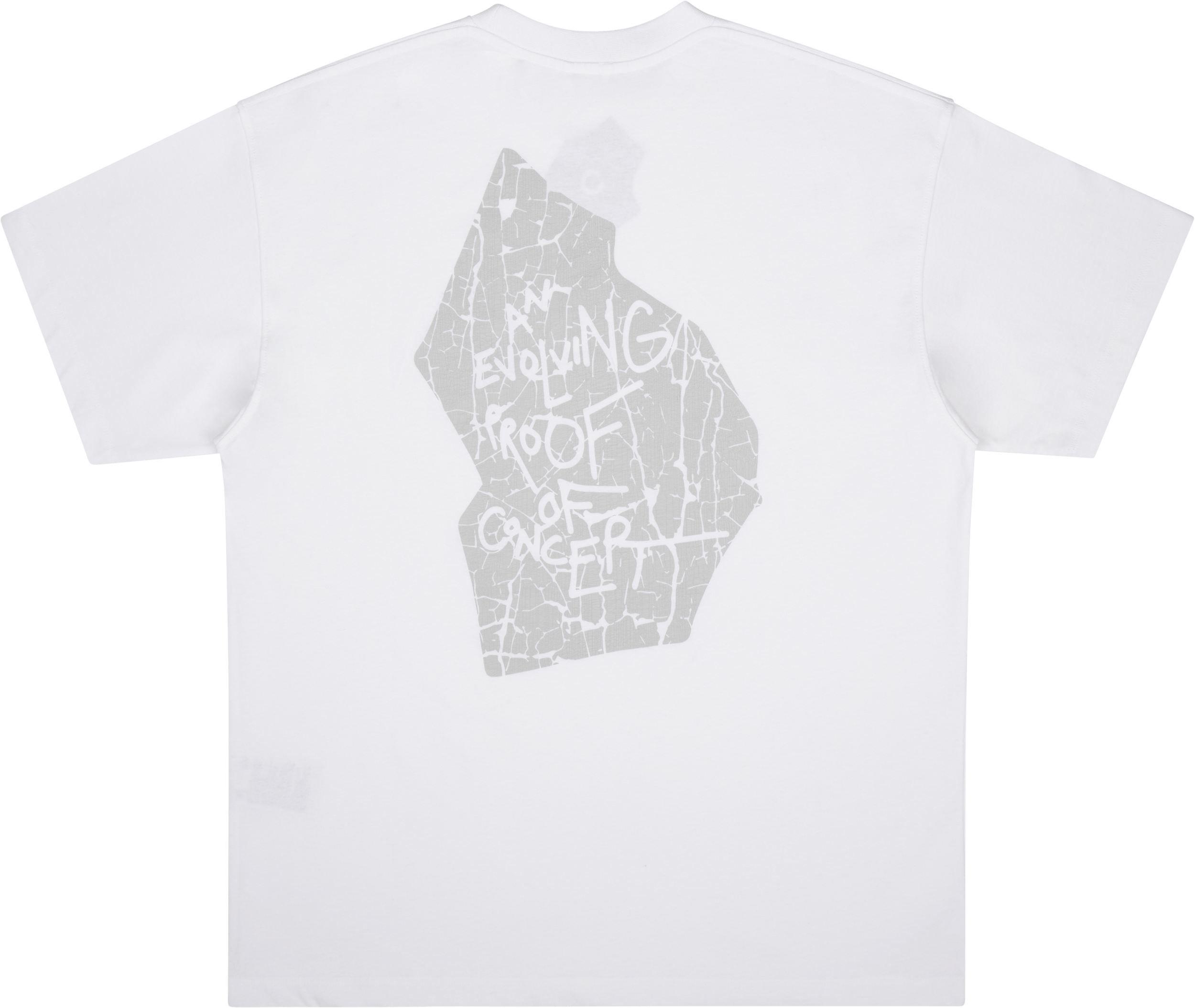 Evolving Tee White - Bild 2