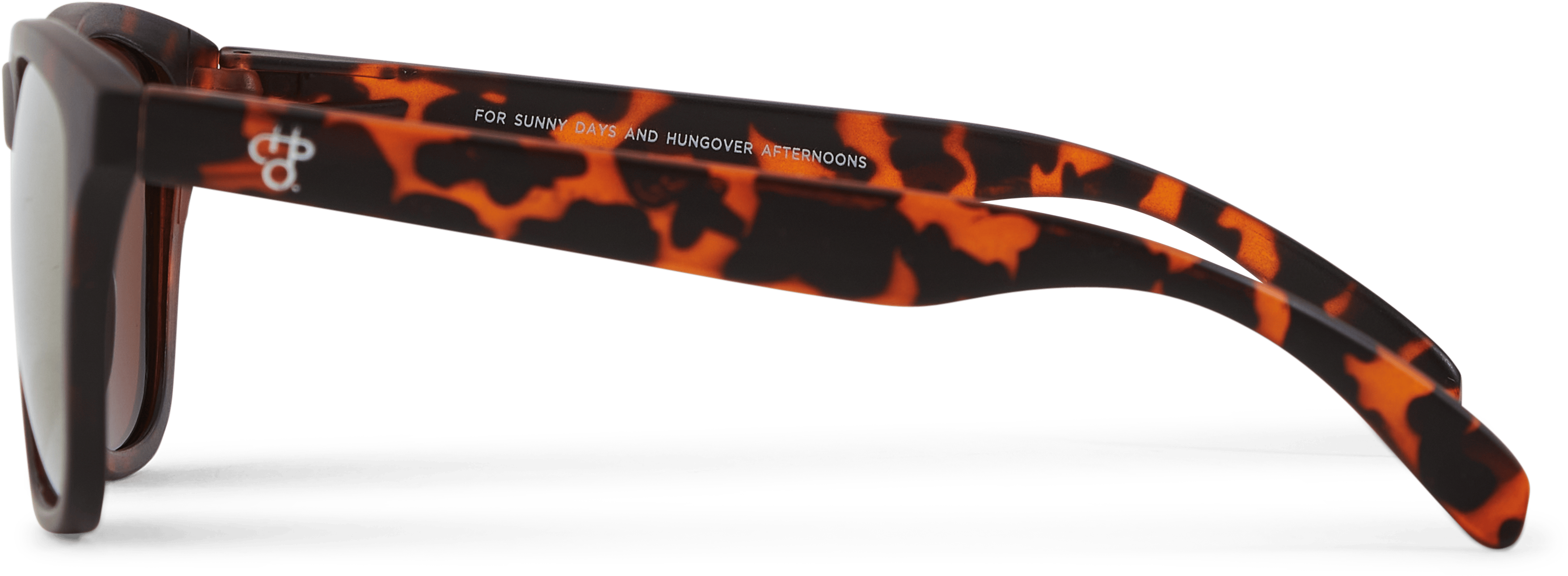 CHPO Bodhi Turtle - Bild 2