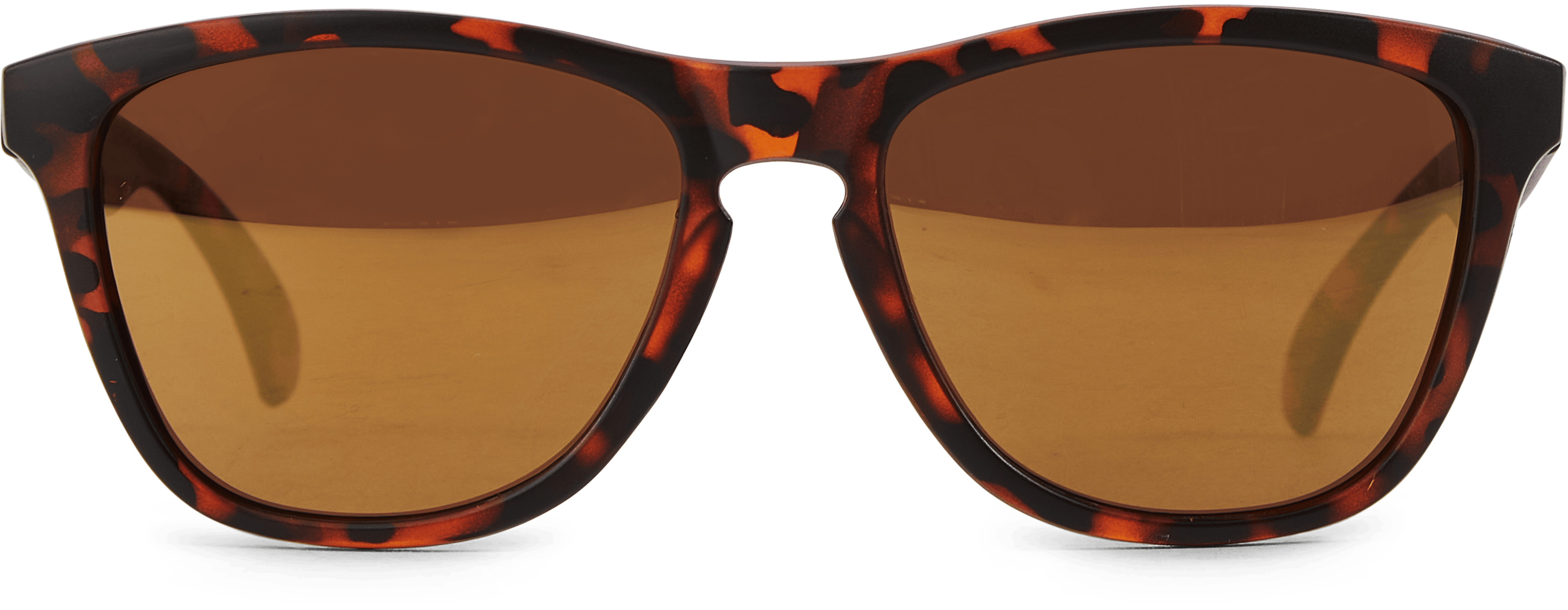 CHPO Bodhi Turtle - Bild 5