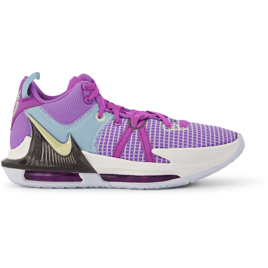 Lebron Witness VII