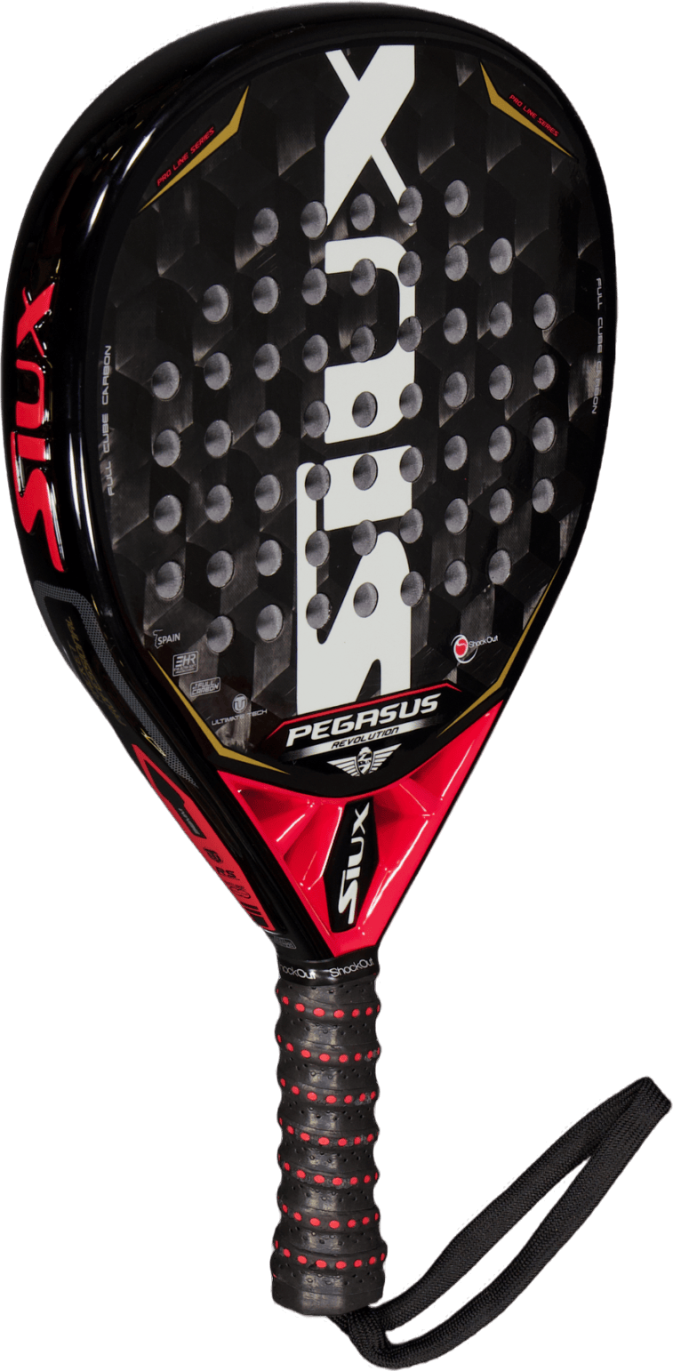 Siux Pegasus Revolution 3d Gra - Bild 2