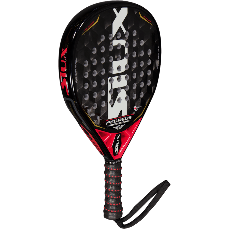 Siux Pegasus Revolution 3d Gra - Bild 2