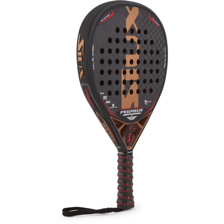 Siux Pegasus Revolution 12k - Bild 2