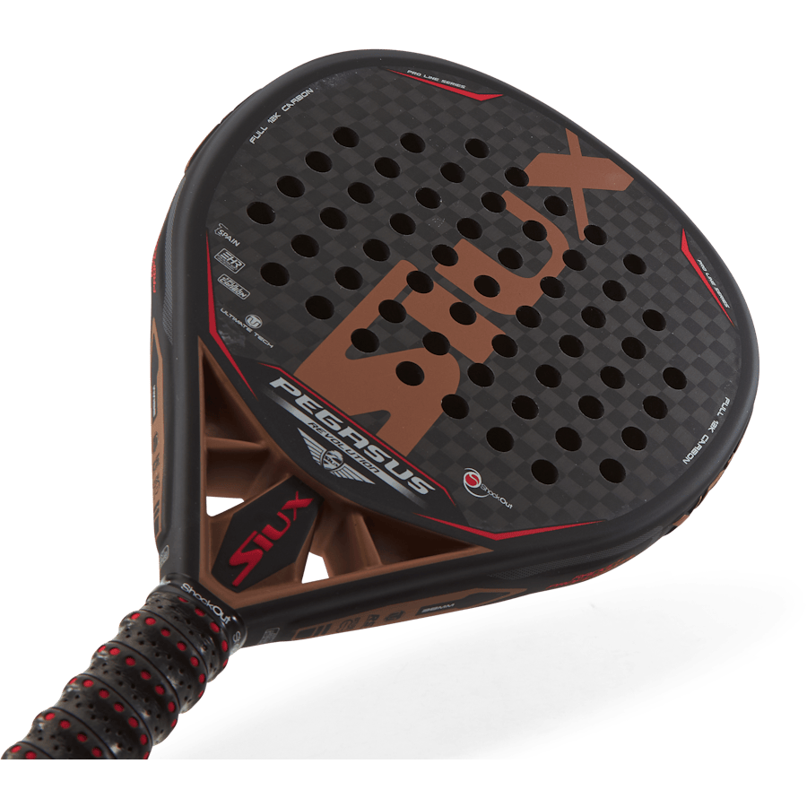 Siux Pegasus Revolution 12k - Bild 3