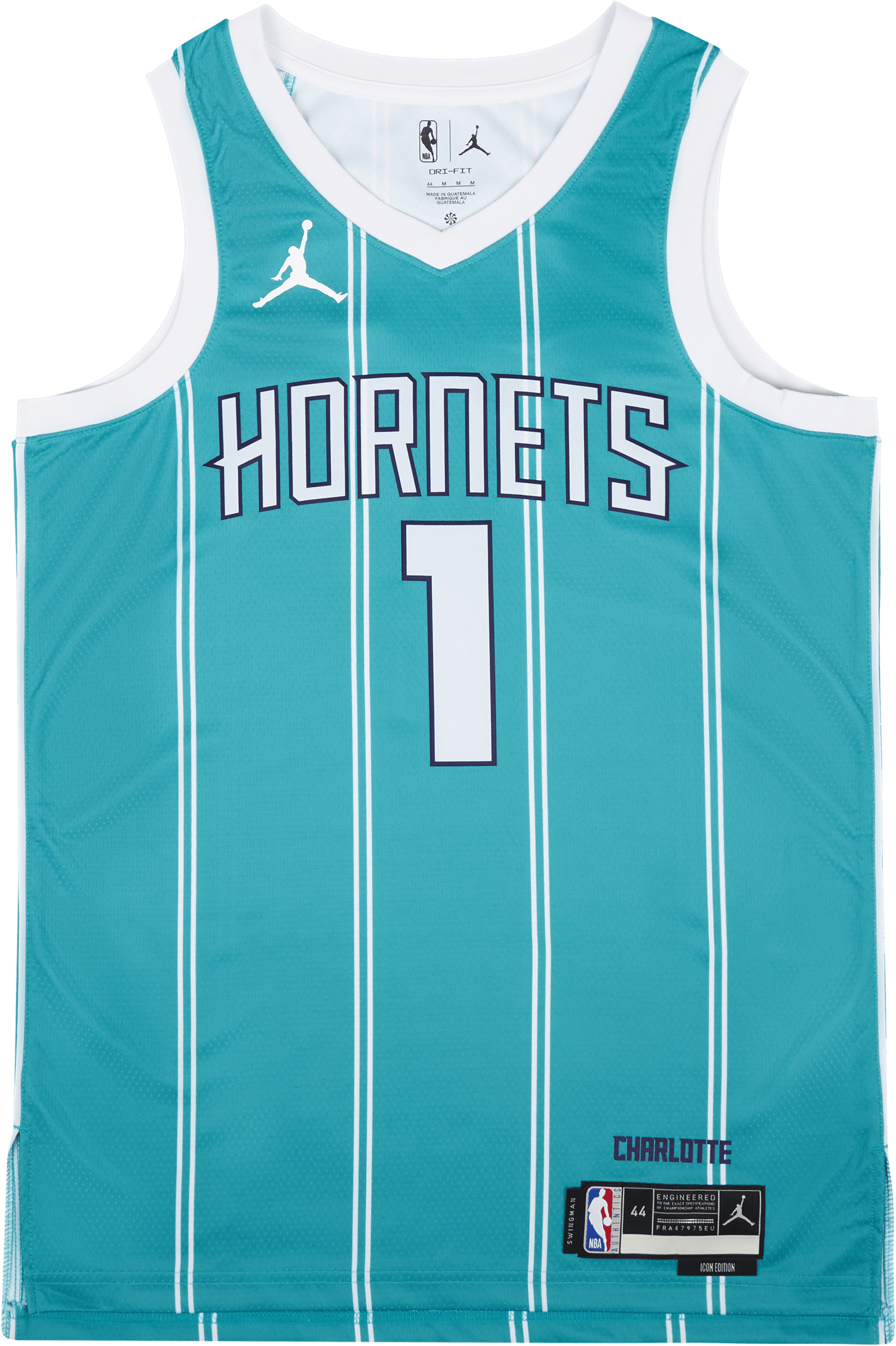 Hornets Mnk Dri-FIT Swgmn Jersey  Icn 22