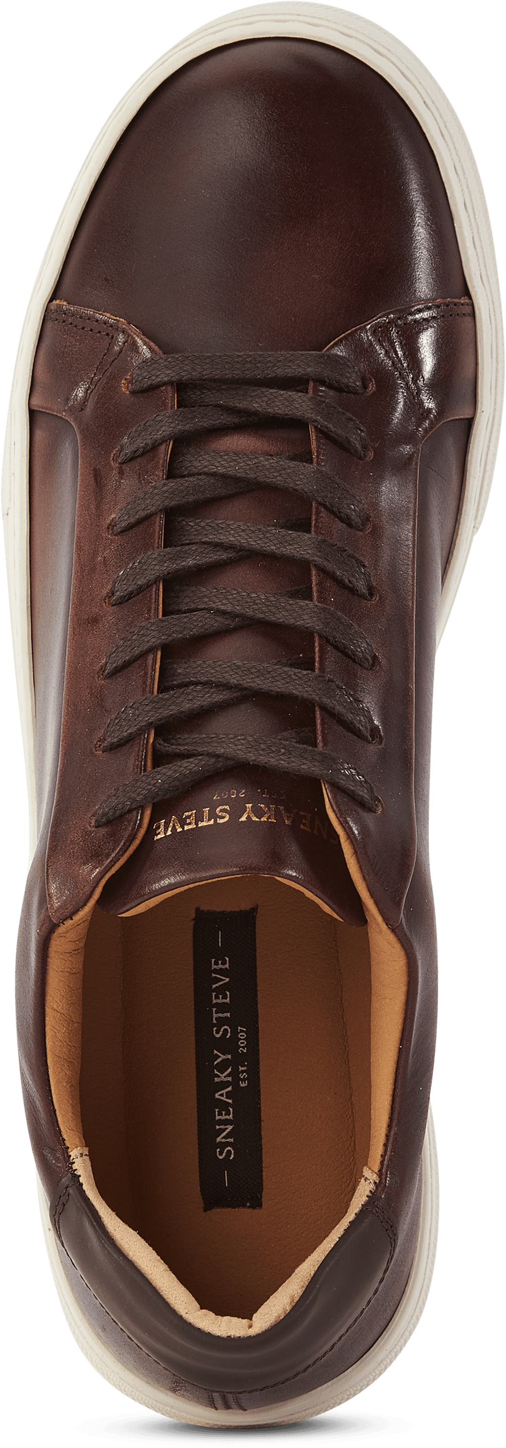 Shame 65  Brush - Bild 5