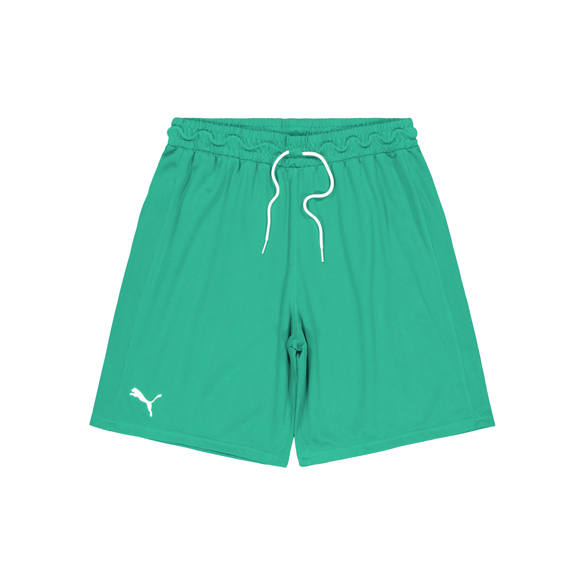 Hoops Team Practice Short Green