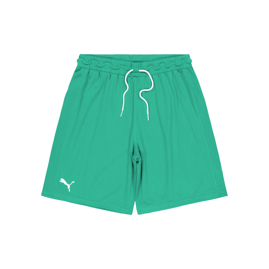 Hoops Team Practice Short Green
