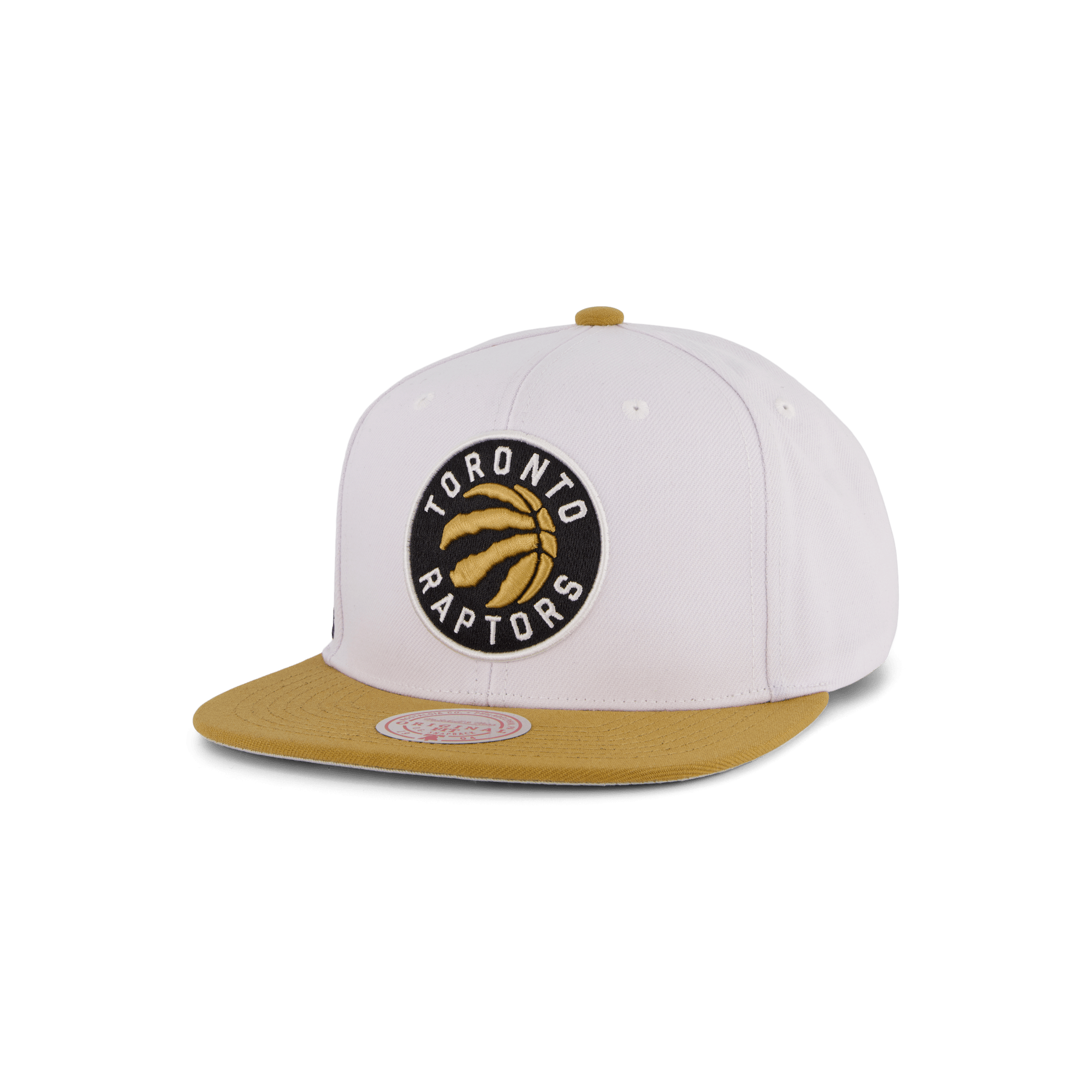 Raptors Side Core 2.0 Snapback
