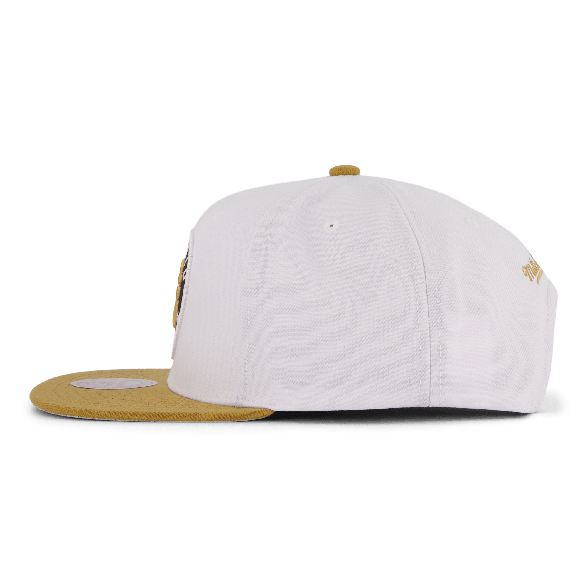 Raptors Side Core 2.0 Snapback - Bild 2