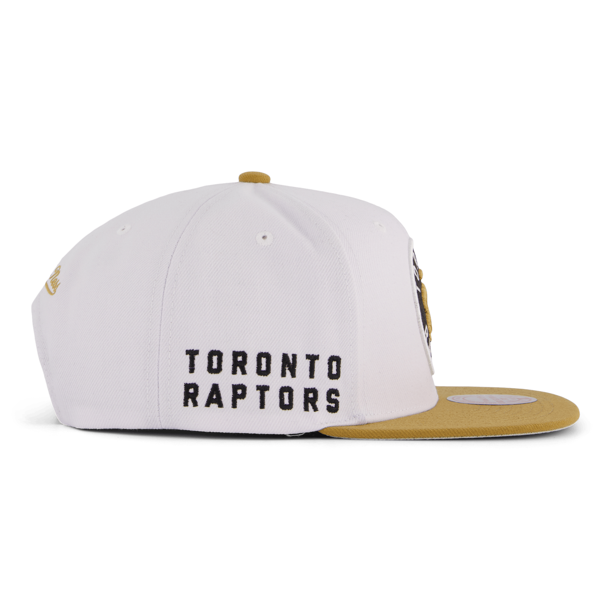 Raptors Side Core 2.0 Snapback - Bild 4