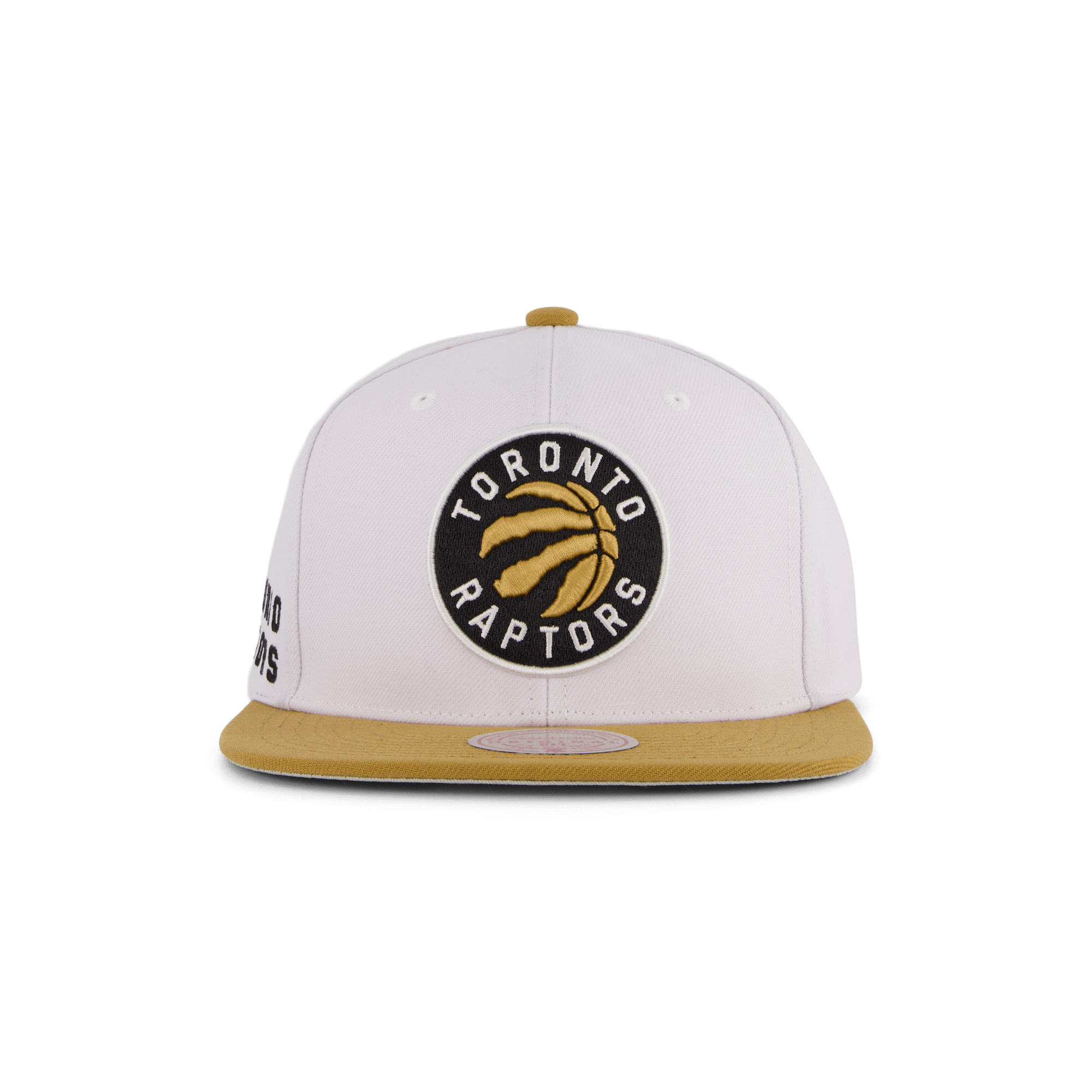 Raptors Side Core 2.0 Snapback - Bild 5