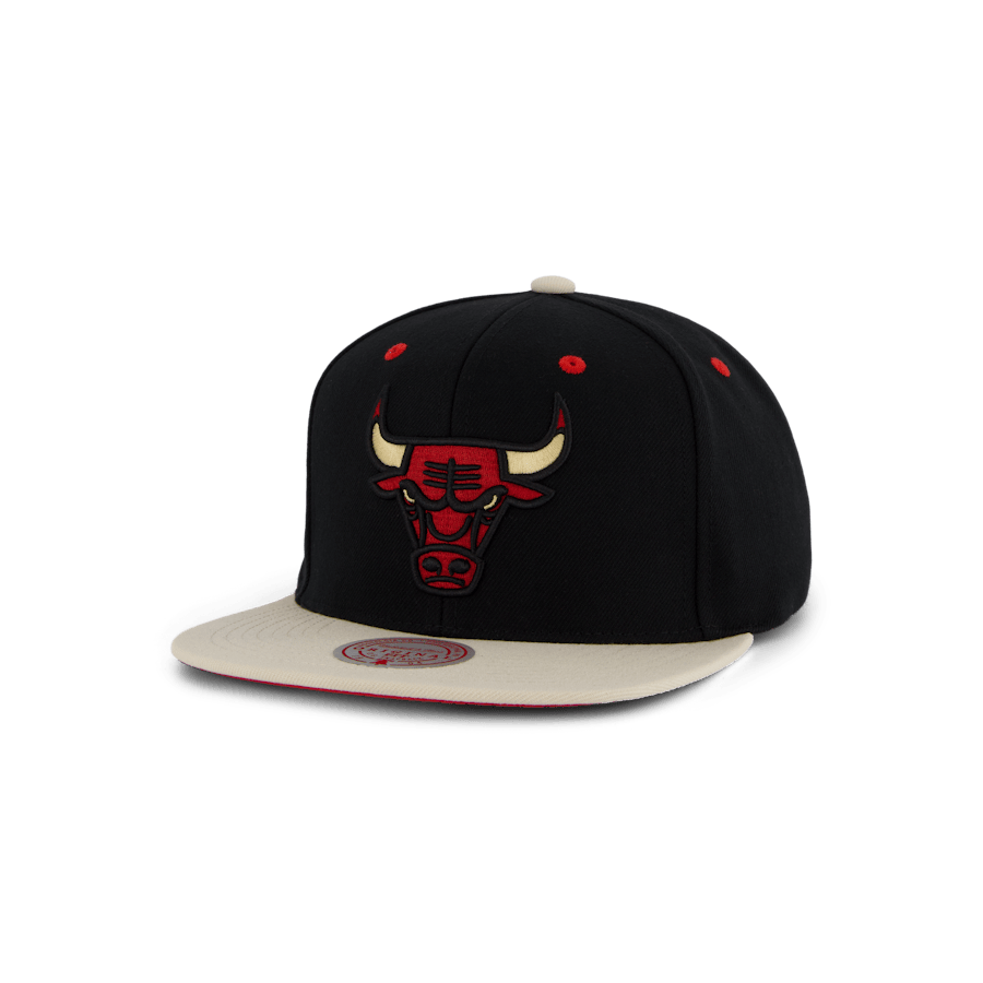 Bulls Pin Drop Snapback