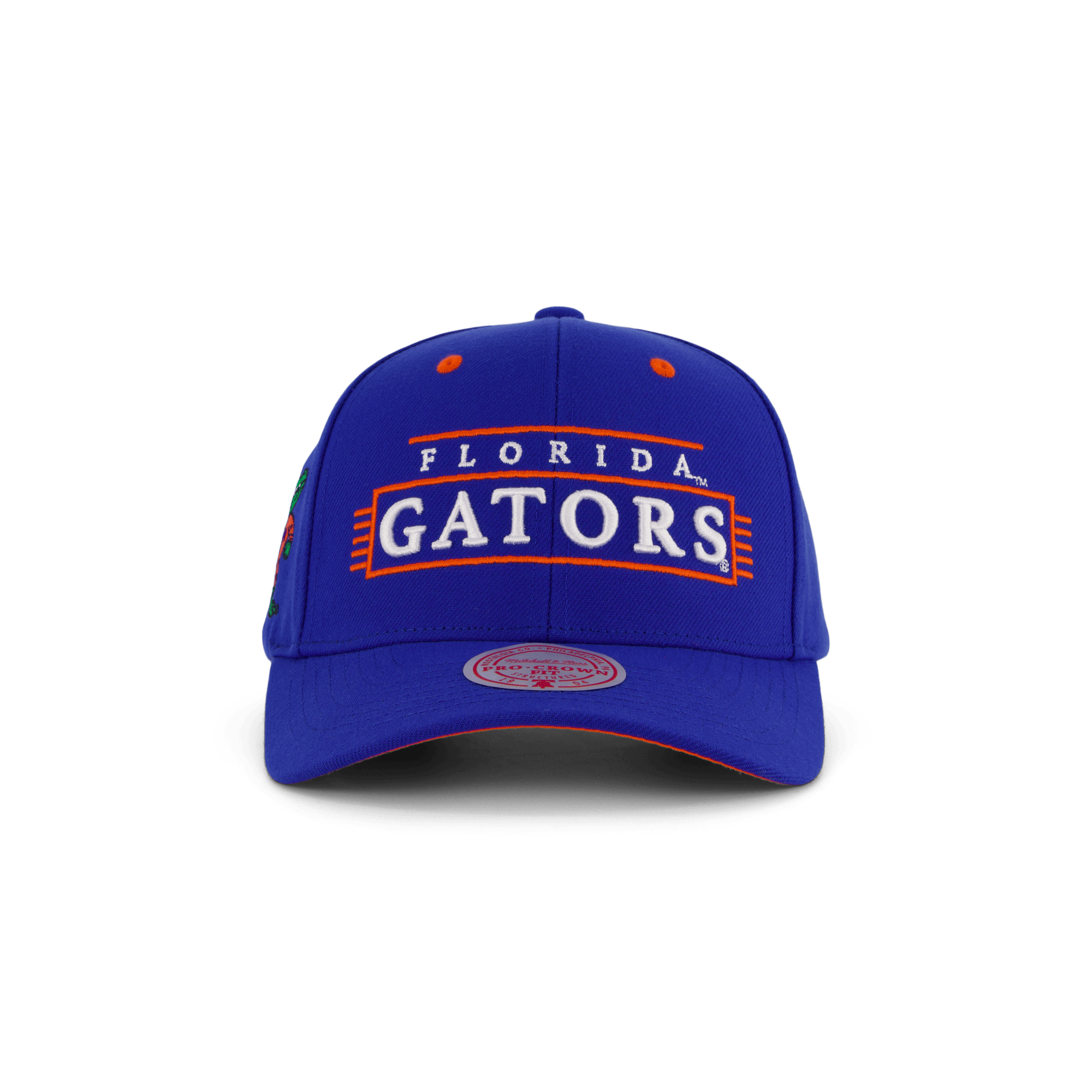 Gators Team Lofi Pro Snapback - Bild 5