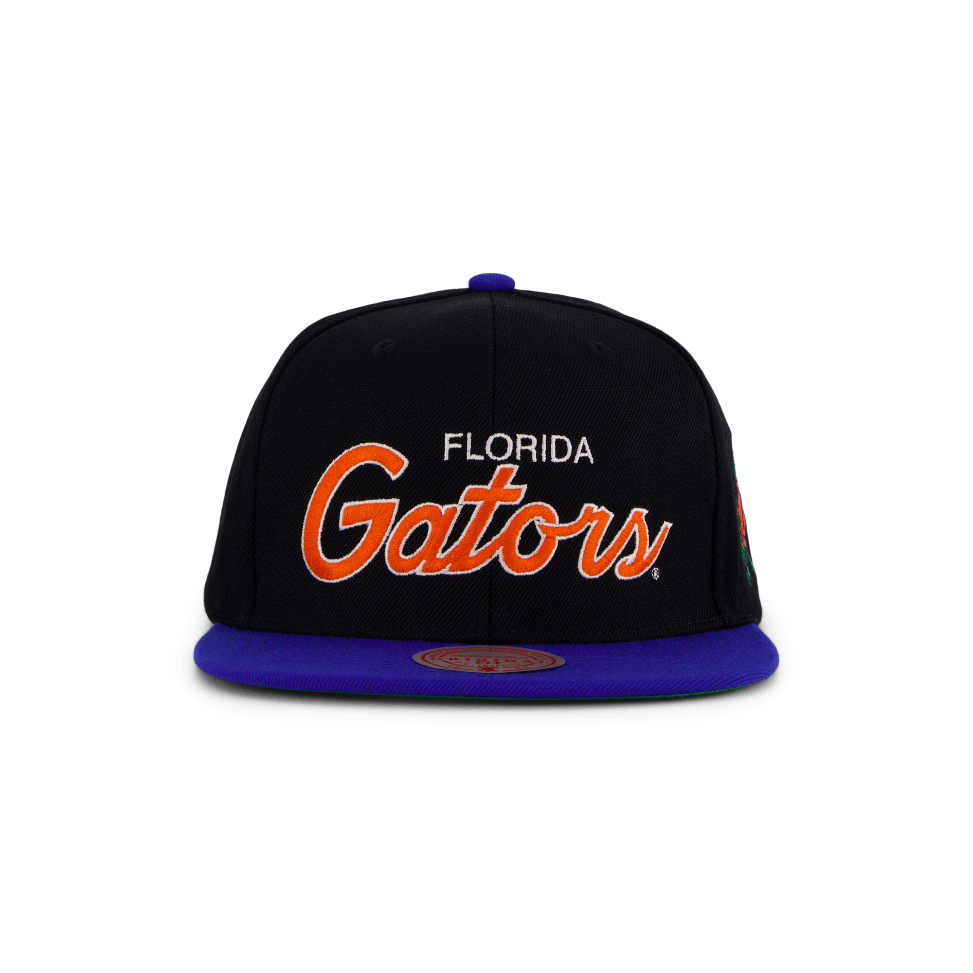 Gators Team Script 2.0 Snapback - Bild 5