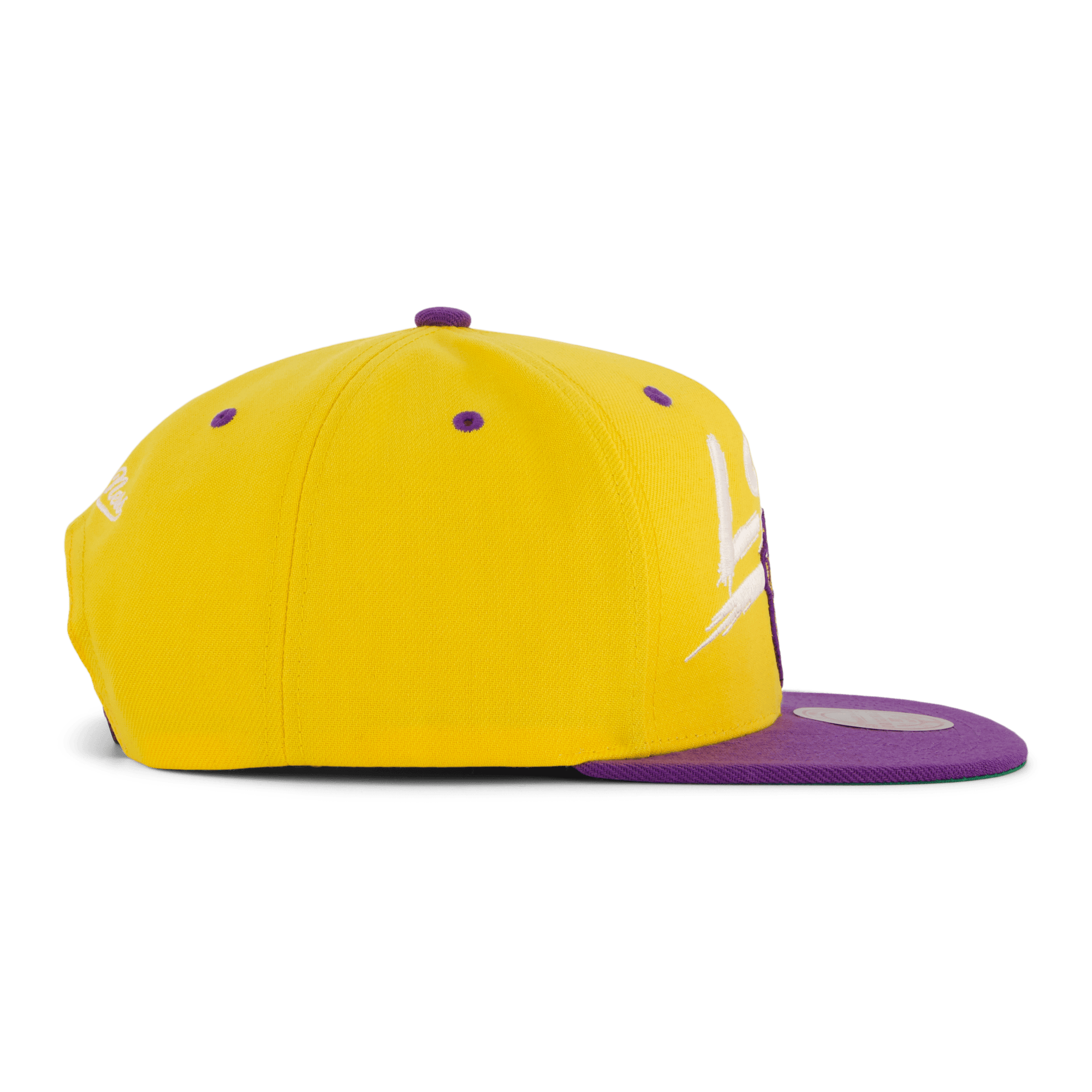 LSU Transcript Snapback - Bild 4