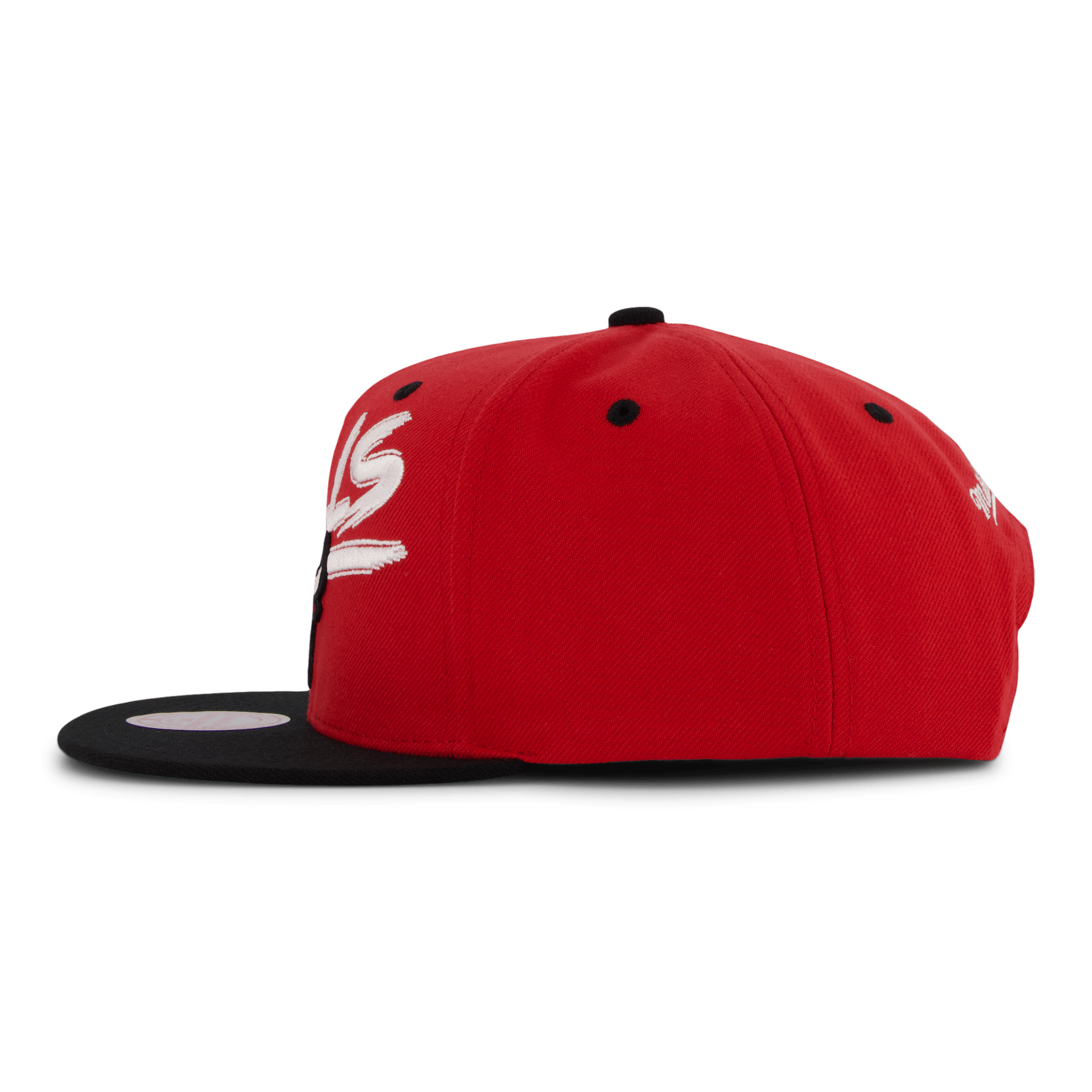 Bulls Transcript Snapback - Bild 2