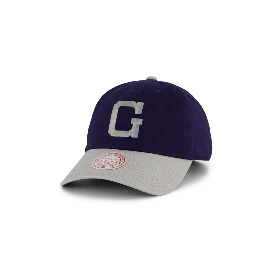 Hoyas Team 2 Tone 2.0 Dad Strapback