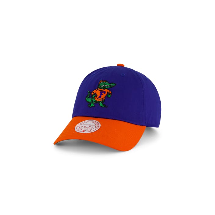 Gators Team 2 Tone 2.0 Dad Strapback, Male, Apparels, Hats & Caps, Blue/Orange, ONESIZE