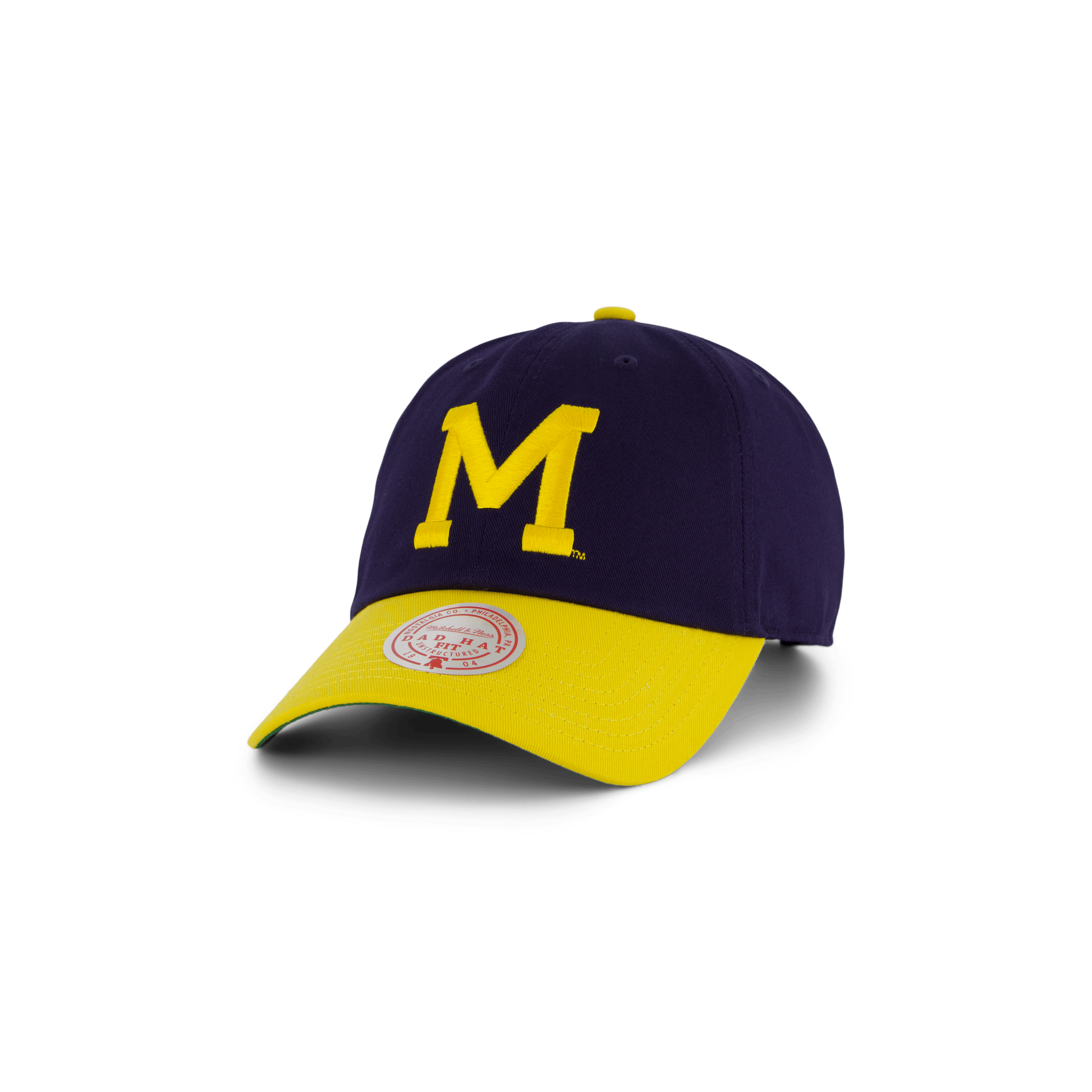 Wolwerines Team 2 Tone 2.0 Dad Strapback