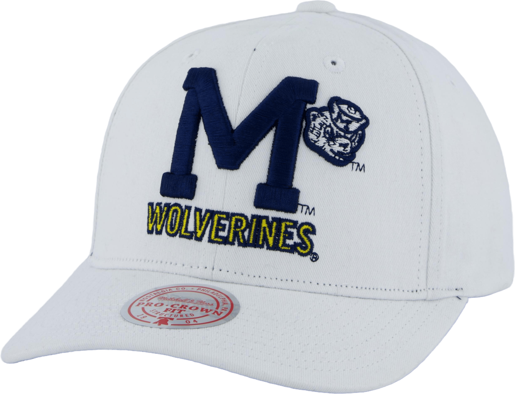Wolverines All In Pro Snapback