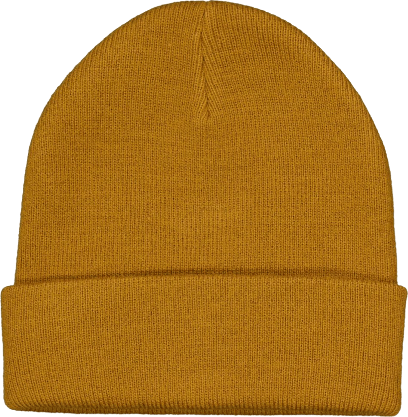 Dickies Gibsland Beanie  Duck - Bild 2