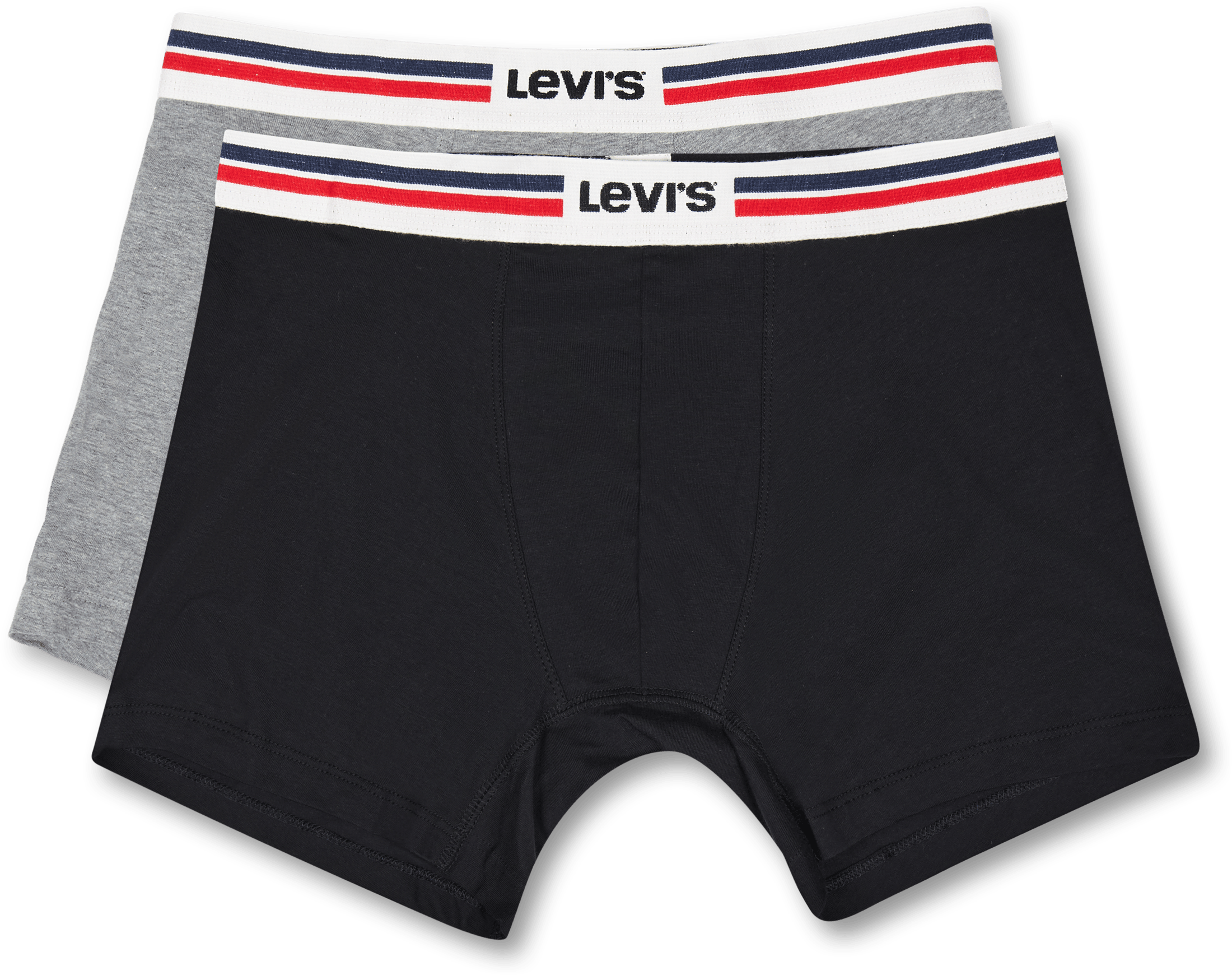 Levis Men Placed Sprtswr Logo 005 Mid