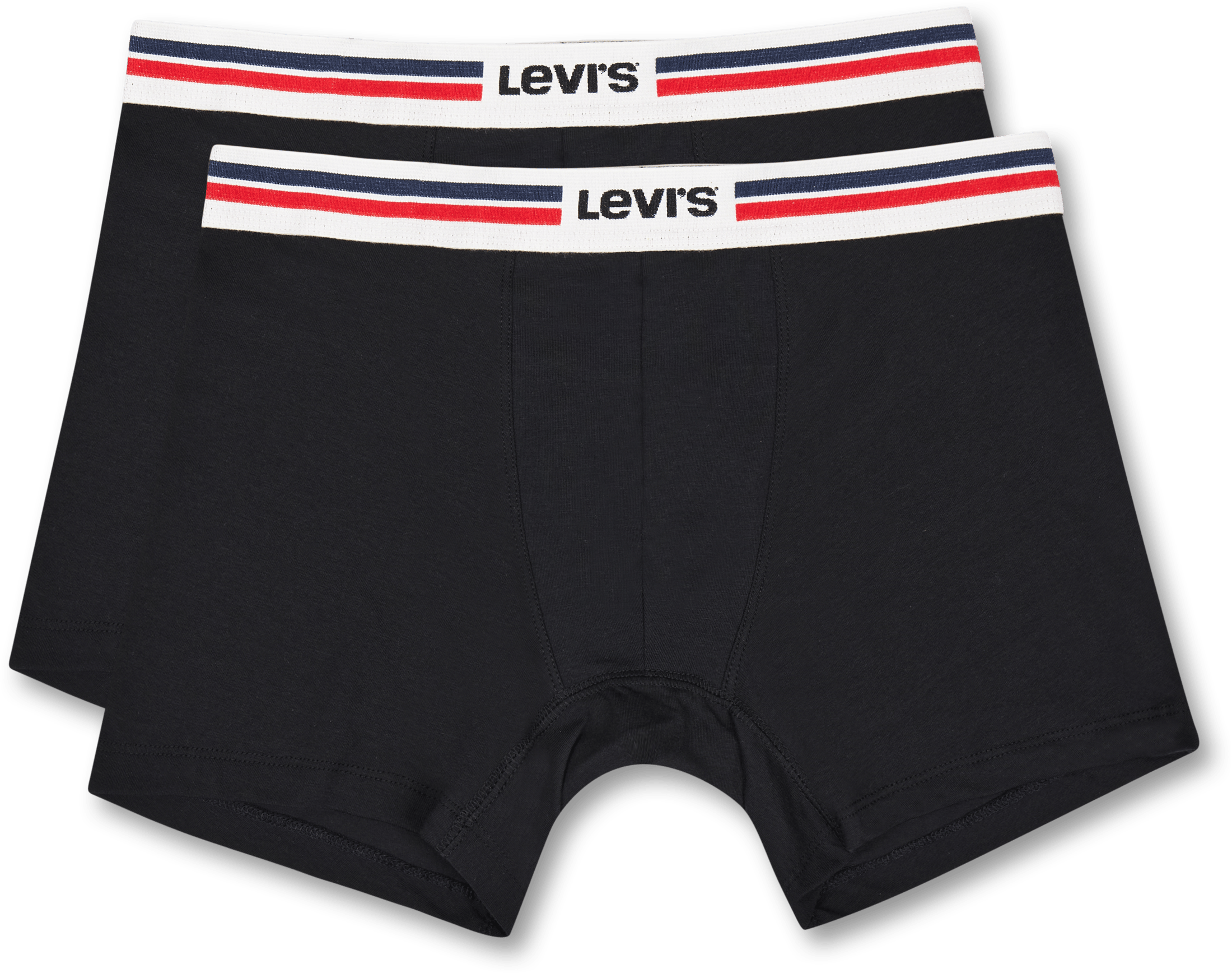 Levis Men Placed Sprtswr Logo 001