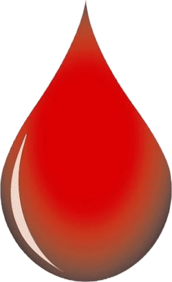 Stop-hemo Stop Hémo Blodstilla