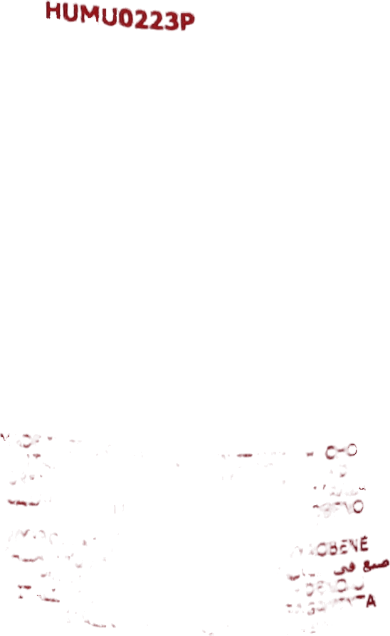 T-shirt Tangerine - Bild 5