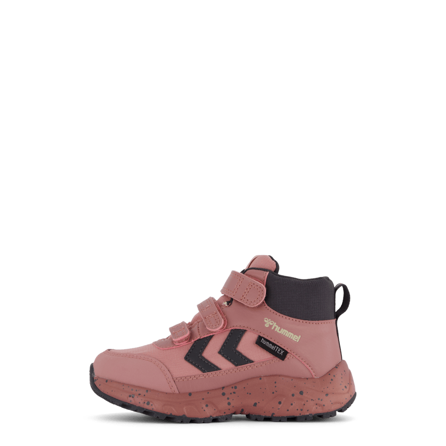 Root Tex Infant Nostalgia Rose