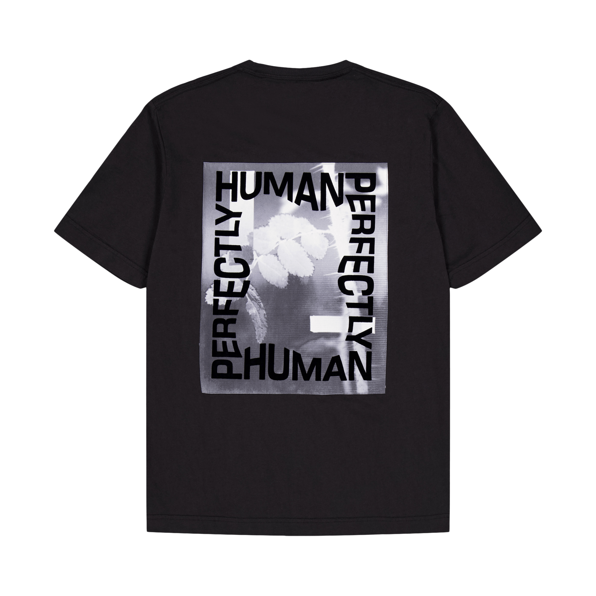 GABBA Duke Inc 9005 Meteorite - Bild 2