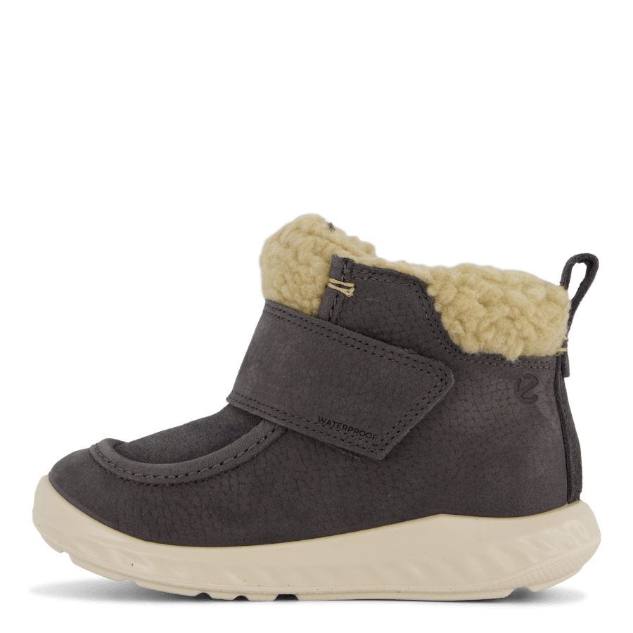 Ecco Sp1 Lite Infant Magnet/magnet