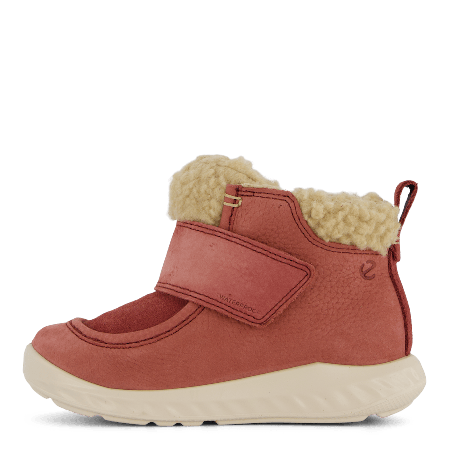 Ecco Sp1 Lite Infant Petal Trim/petal Trim