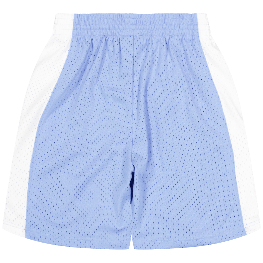 Unc Swingman Shorts Light Blue - Bild 2