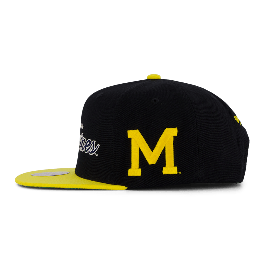 Wolverines Team Script 2.0 Snapback - Bild 2