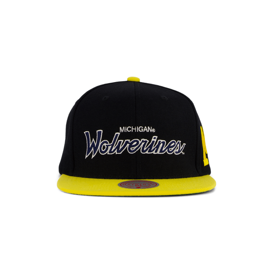 Wolverines Team Script 2.0 Snapback - Bild 5
