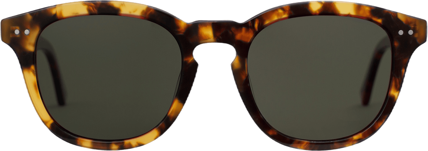 Sydney Tortoise Havana, Unisex, Equipo, Accesorios, Marrón/Estampado, 51-21