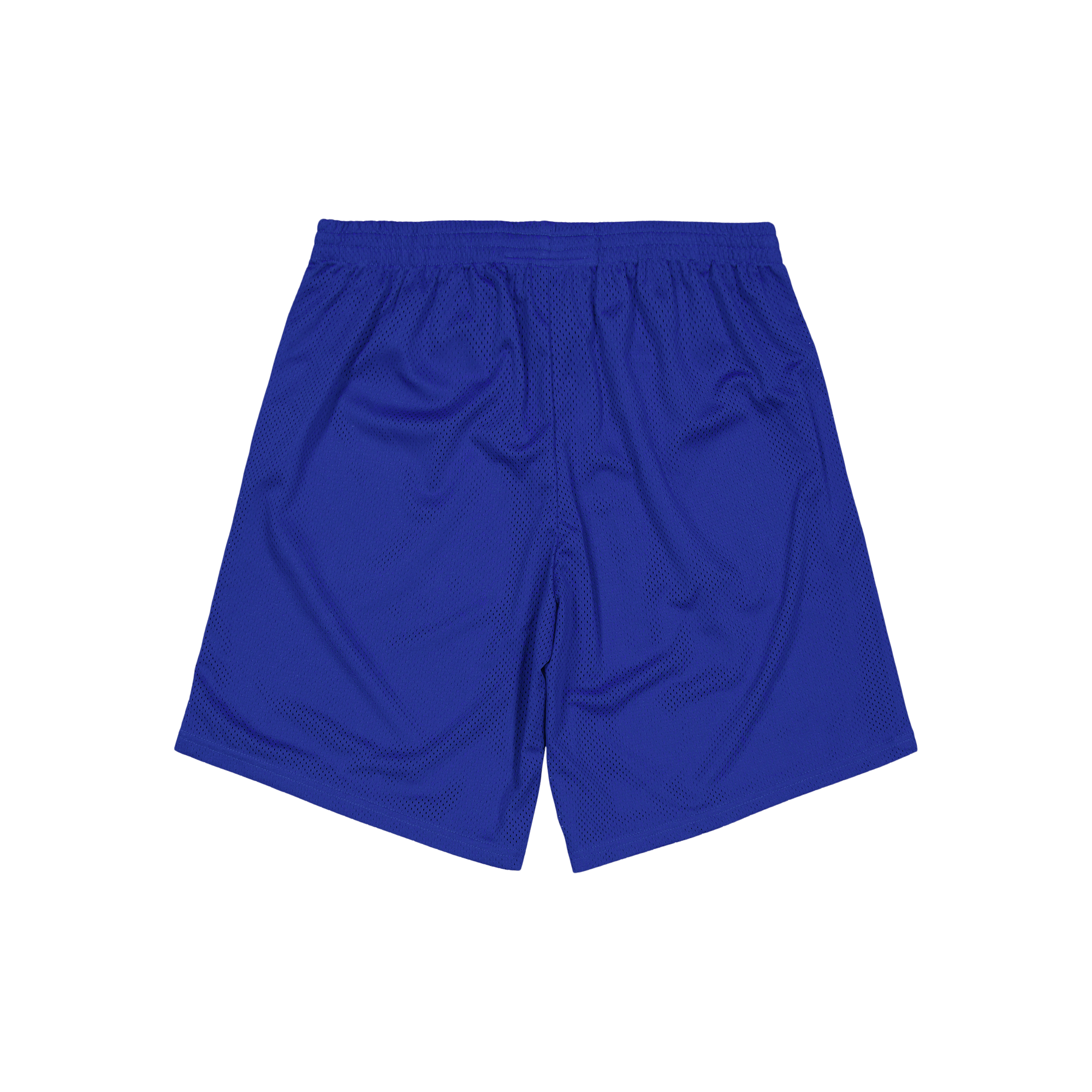Taikan X Cali Xx Mesh Shorts Royal Blue - Bild 2