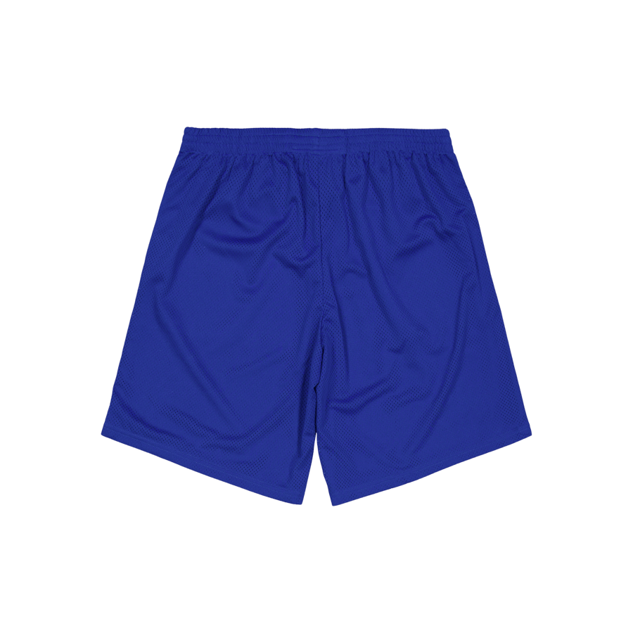 Taikan X Cali Xx Mesh Shorts Royal Blue - Bild 2