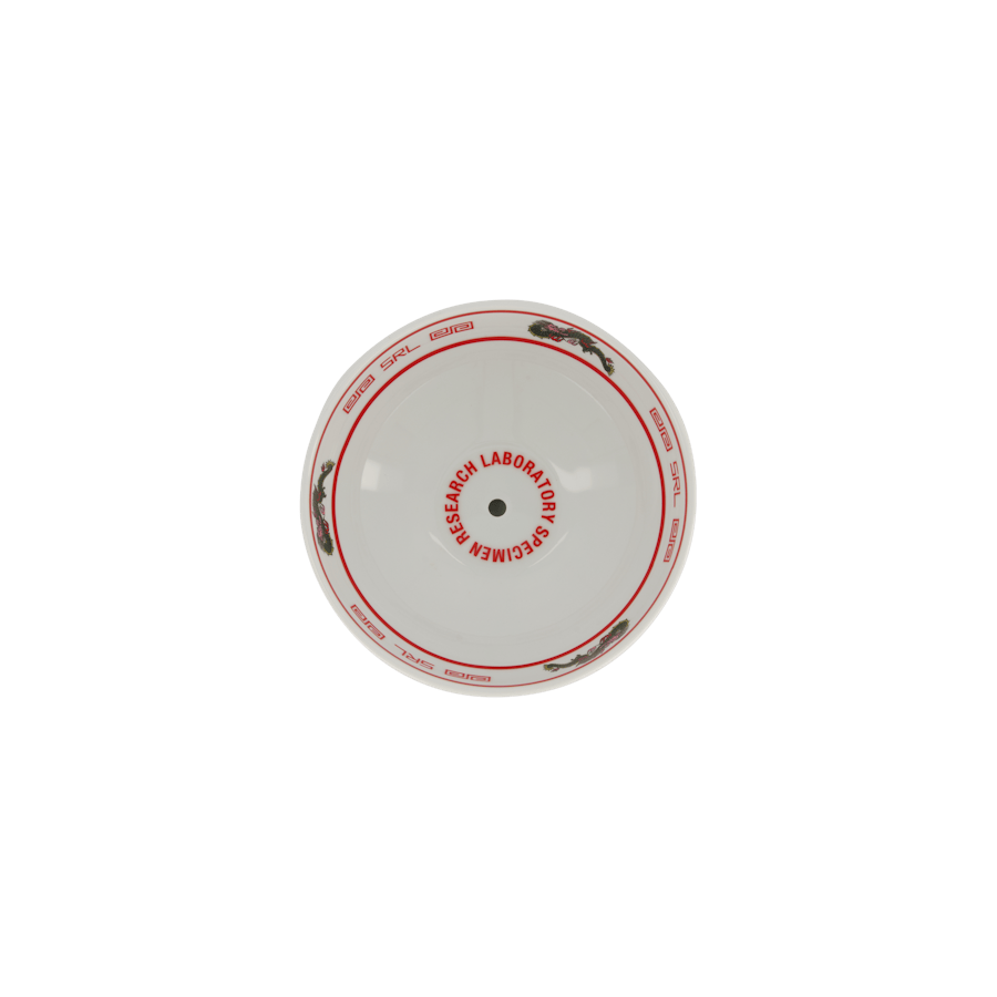 Srl . Noodle Bowl Plant Pot Red - Bild 3