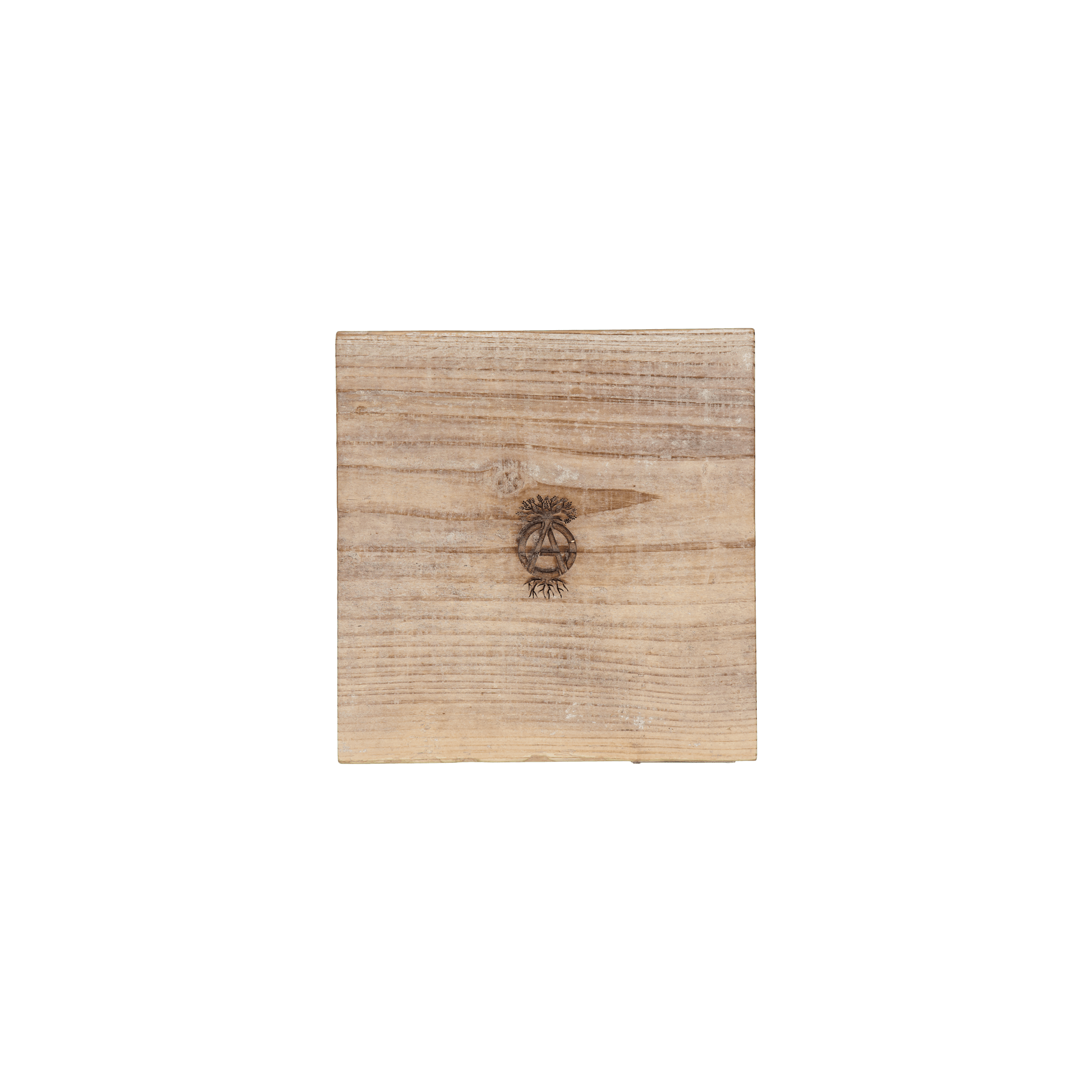 Srl X Warlock . Board-5 Brown - Bild 3