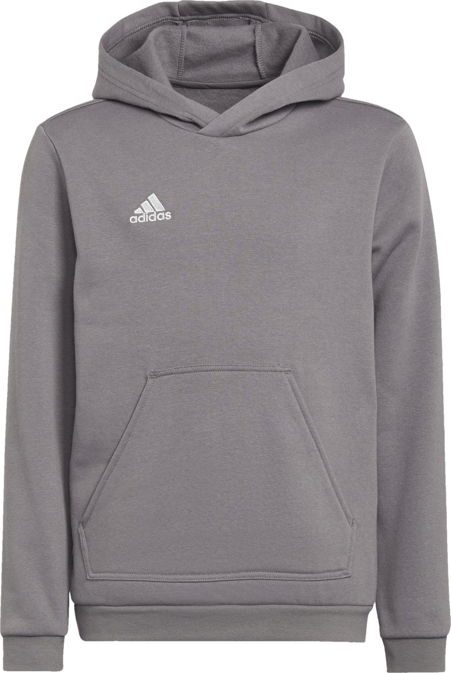 Entrada 22 Sweat Hoodie Tegrfo