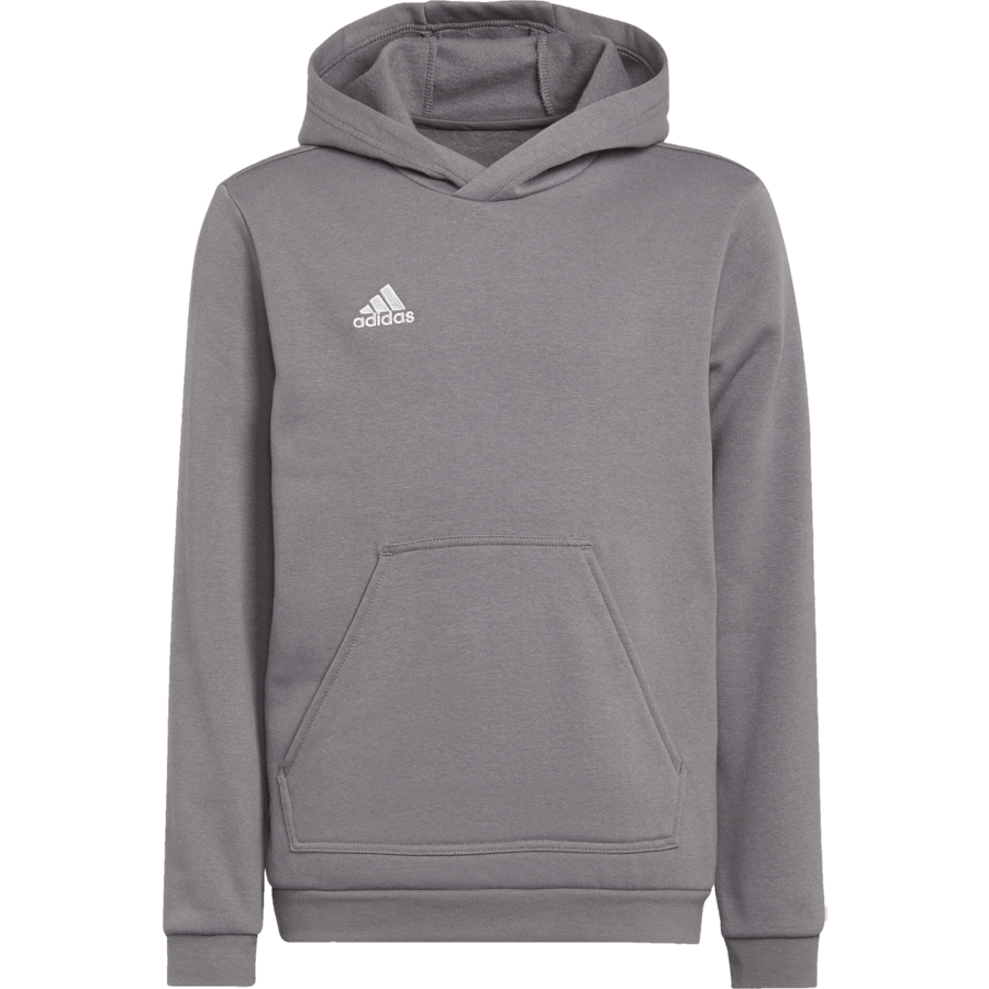 Entrada 22 Sweat Hoodie Tegrfo