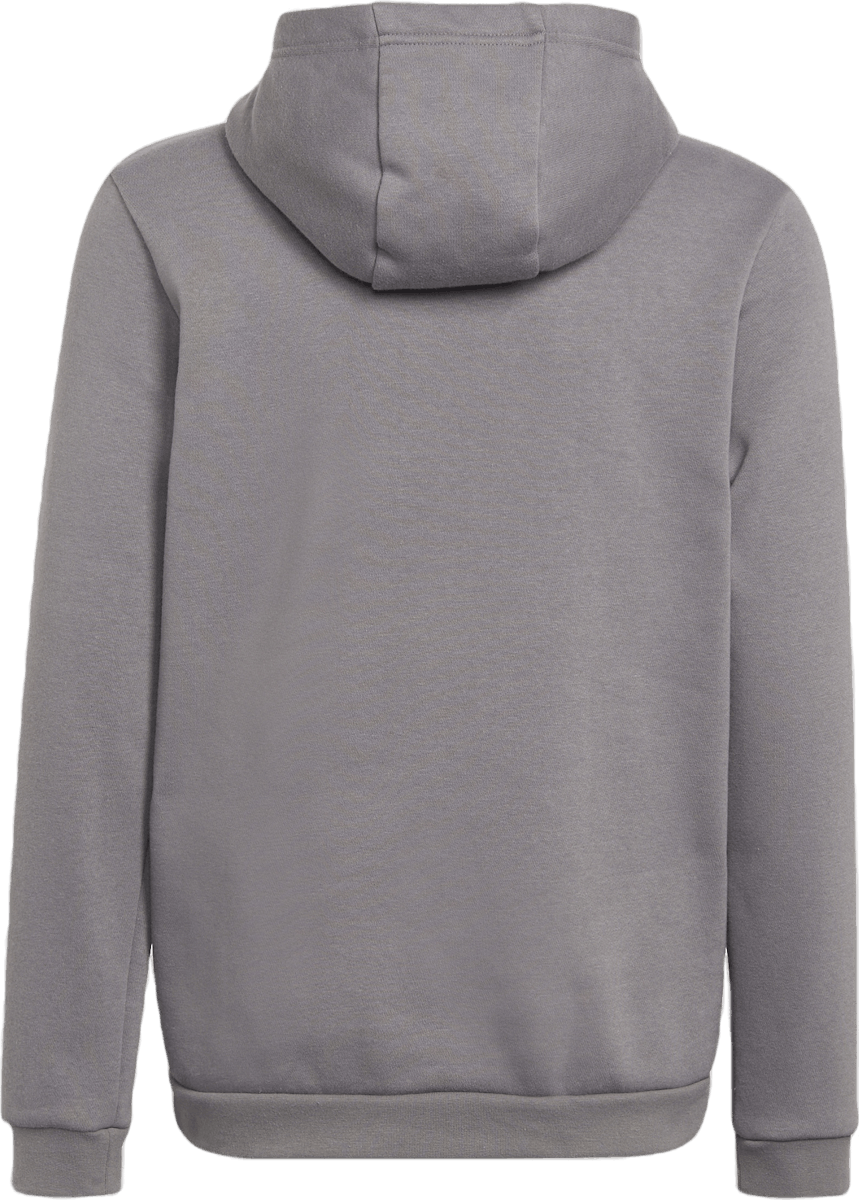 Entrada 22 Sweat Hoodie Tegrfo