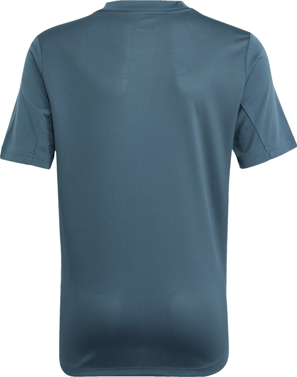 AEROREADY T-Shirt Arcngt/Silvmt