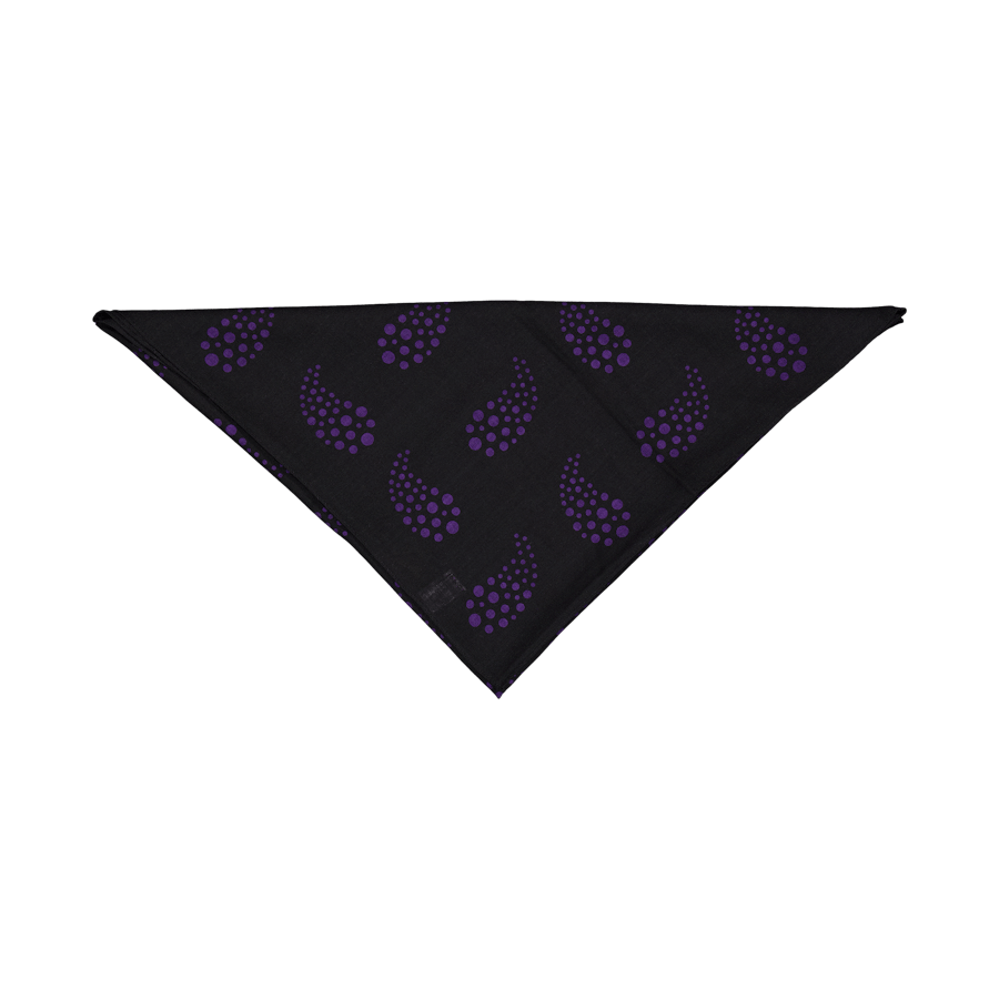 Scarf – W/s Twill / Paisley Pr C-black